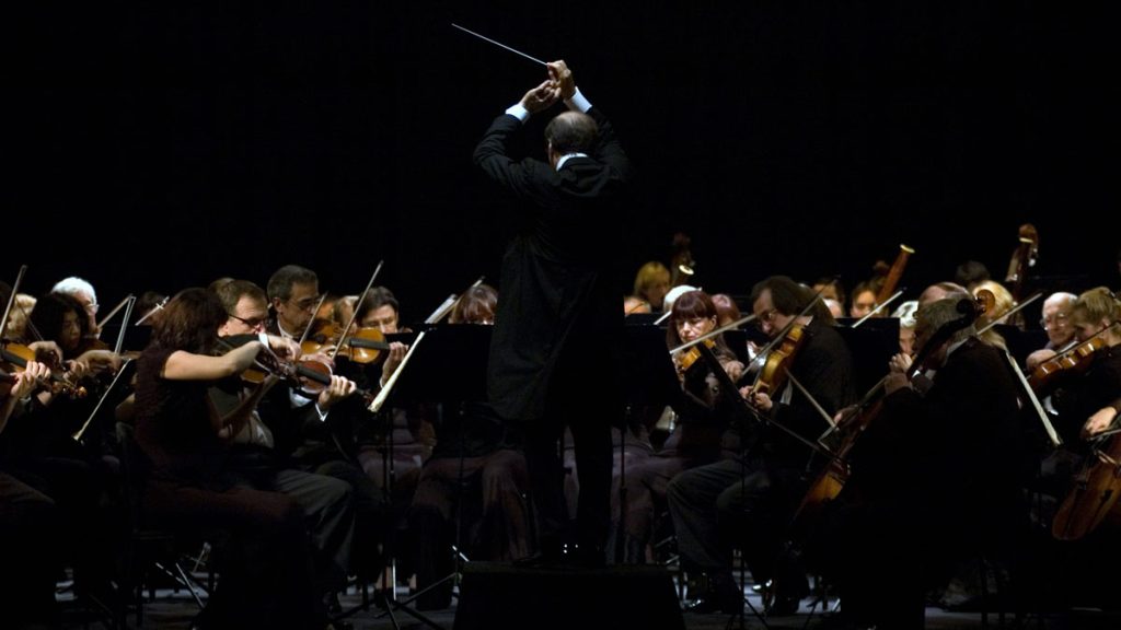 Conductors provide Leadership and Direction