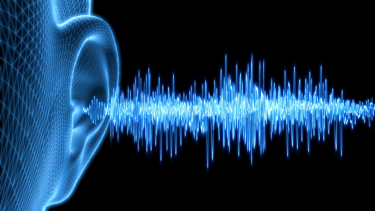 The Science of Sound: Acoustics and Classical Music